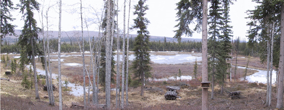 May pond